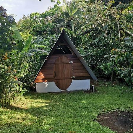 Cabana Chalet Cariari  المظهر الخارجي الصورة
